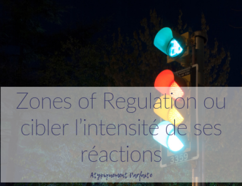 Zones of Regulation ou cibler l’intensité de ses réactions