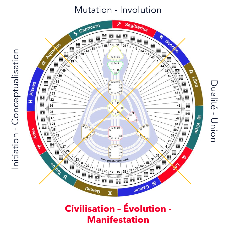 Ceci est une représentation du Mandala HD. On y retrouve l'ensemble des 64 portes/hexagrammes. Les quartiers comptent chacun 16 portes ayant une mission présentant des similarités. Le quartier 2 est le quartier de la Civilisation, mais aussi le quartier de la Manifestation.